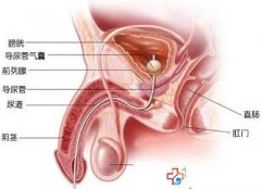 男性尿道炎的危害有哪些？