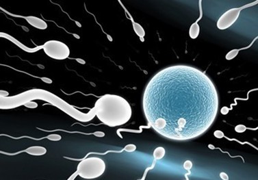 男性精子存活率低宝宝计划退后
